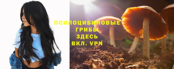 стаф Алексеевка